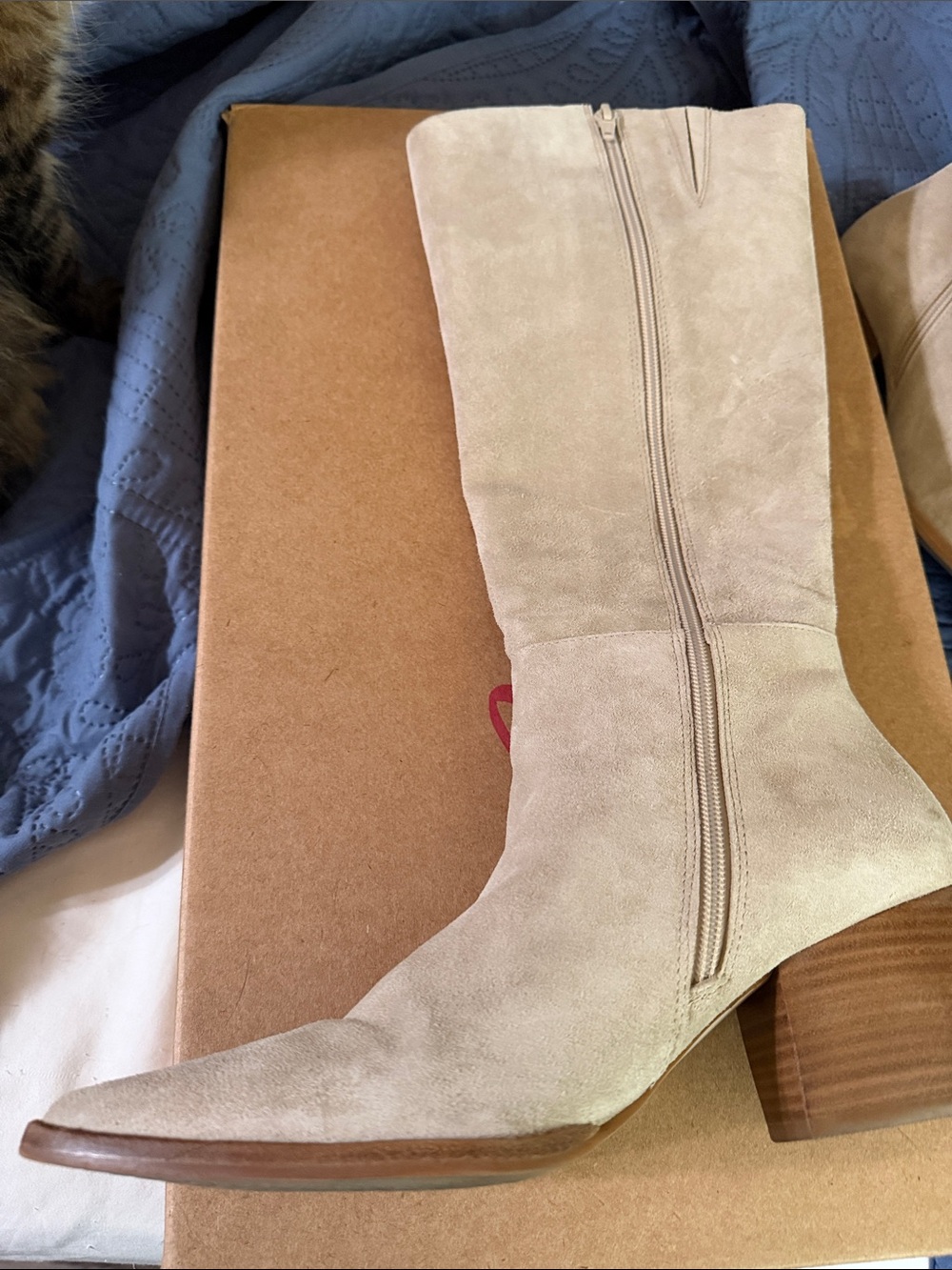 Matisse Oat Suede Knee Pointed-Toe Suede Boots - Picture 7 of 10